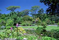 Le jardin botanique regroupe normment de plantes