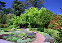 Le golden Gate Park est un jardin fantastique