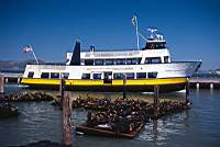Eviter les bateaux de la Blue & Gold