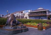 L'entre et le symbole de Pier39