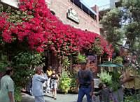 Fisherman wharf est le royaume du shopping
