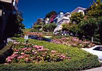 Au pieds de Lombard Street