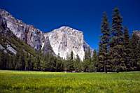El capitan imposse sa masse